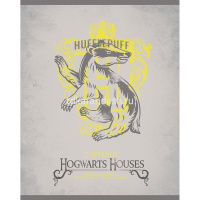 Тетрадь А5 48л клетка "Гарри Поттер" на скобе матовая ламинация 5 дизайнов 48Т5лВ1/053878 от магазина "Карандаш"