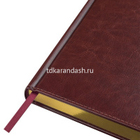 Ежедневник 2027 А5+ "Sidney Nebraska" 336стр., коричневый, золотой срез, искусственная кожа 3-125/03 от магазина "Карандаш"