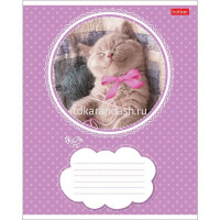 Тетрадь А5 18л линия "Котята" на скобе 5 дизайнов 18Т5В2/012312 от магазина "Карандаш"