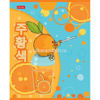 Тетрадь А5 48л клетка "Озорной апельсинчик" на скобе матовая ламинация 5 дизайнов 082845 от магазина "Карандаш"