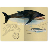 Тетрадь А5 40л клетка "Киты" прошитый блок матовая ламинация 7-40-001/63 от магазина "Карандаш"