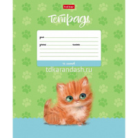 Тетрадь А5 12л линия "Кошарики" на скобе 5 дизайнов 074360 от магазина "Карандаш"