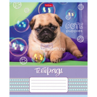 Тетрадь А5 18л клетка "Щенячья радость" на скобе 5 дизайнов 18Т5В1/067613 от магазина "Карандаш"