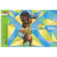 Альбом для рисования А4 40л "ТаксаLIFE" на спирали, перфорация на отрыв, 4 дизайна 067334 от магазина "Карандаш"