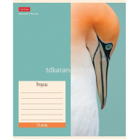 Тетрадь А5 24л клетка "Nature" на скобе 5 дизайнов 074942 от магазина "Карандаш"