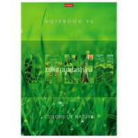 Тетрадь А4 96л клетка "Гармония цвета" на скобе выборочный лак 3 дизайна 082986 от магазина "Карандаш"