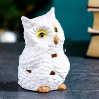 Сувенир "Застенчевый филин" белый 8х6х10,5см светодиодный, полистоун D096/715269 от магазина "Карандаш"