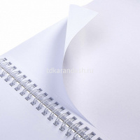 Скетчбук А4 21х29,7см 50л 100г/м2 "Фея и волк" спираль, твердая обложка 075971 от магазина "Карандаш"