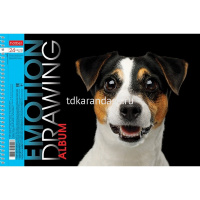 Альбом для рисования А4 24л "Яркие эмоции" на спирали, перфорация на отрыв, 5 дизайнов 074757 от магазина "Карандаш"