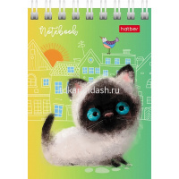 Блокнот А7 40л "Кошарики" клетка, на спирали, 6 дизайнов 076975 от магазина "Карандаш"