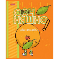 Тетрадь А5 48л клетка "Озорной апельсинчик" на скобе матовая ламинация 5 дизайнов 082845 от магазина "Карандаш"