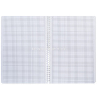 Тетрадь А4 96л клетка "Mist" на спирали, перфорация на отрыв, ламинация Soft-touch 2 дизайна 090096 от магазина "Карандаш"