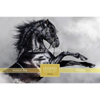 Пазлы 500 эл. "Premium. Legend ZooStyle. Черный скакун" 48х33см с постером 071318 от магазина "Карандаш"