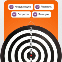 Дартс игольчатый d=30см, черный (4 дротика) BJ6853 от магазина "Карандаш"