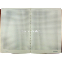 Тетрадь А5 40л клетка "Ласточки" прошитый блок матовая ламинация 7-40-001/57 от магазина "Карандаш"