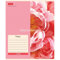 Тетрадь А5 24л линия  "Flowers" на скобе 5 дизайнов 24Т5В2/074946 от магазина "Карандаш"