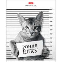 Тетрадь А5 96л клетка "Кот-обормот" на скобе 5 дизайнов 96Т5В1/053332 от магазина "Карандаш"