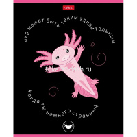 Тетрадь А5 48л клетка "Малыш аксолотль" на скобе выборочный лак 5 дизайнов 088912 от магазина "Карандаш"