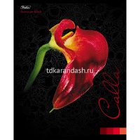 Тетрадь А5 48л клетка "Flower on black" на скобе 3D лак матовая ламинация 5 дизайнов 050135 от магазина "Карандаш"
