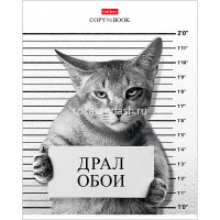 Тетрадь А5 96л клетка "Кот-обормот" на скобе 5 дизайнов 96Т5В1/053332 от магазина "Карандаш"