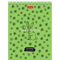 Блокнот А6 40л "COOL Animals" клетка, на спирали, мелованный картон УФ-лак 40Б6В1гр/055480 от магазина "Карандаш"