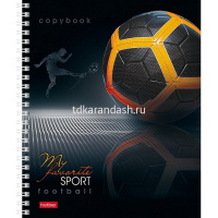 Тетрадь А5 96л клетка "СпортКлуб" на спирали матовая ламинация 2 дизайна 96Т5лтВ1гр/067319 от магазина "Карандаш"