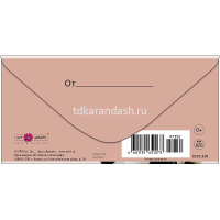 Конверт для денег "Трать с умом" 167х83мм 0322.330 от магазина "Карандаш"