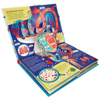 Энциклопедия-панорама "POP UP. Анатомия" 10стр. 9785001345541 от магазина "Карандаш"