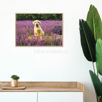 Пазлы 500 эл. "Premium. Щенок на полянке" 48х33см 500ПЗ2_30300/083402 от магазина "Карандаш"