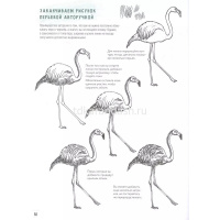 Книга-скетчбук "Создаем наброски животных и птиц шаг за шагом: 50 проектов" 64стр. 978-5-00141-321-9 от магазина "Карандаш"