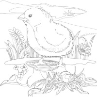 Раскраска д/акварели 21х21см "Юному художнику.Щенок" отрывная склейка жесткая подложка 36стр. 084154 от магазина "Карандаш"