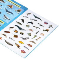 Книжка с наклейками "Атлас мира. Океаны" 70 наклеек 8 стр. 9785506048060 от магазина "Карандаш"