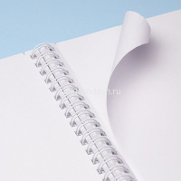 Скетчбук А4 21х29,7см 50л 100г/м2 "Парижские каникулы" спираль, твердая обложка 087199 от магазина "Карандаш"