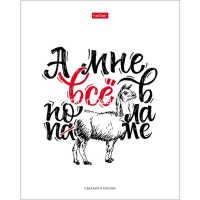 Тетрадь А5 48л клетка "Ой, всё!" на скобе, 5 дизайнов 48Т5В1/065459 от магазина "Карандаш"