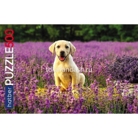 Пазлы 500 эл. "Premium. Щенок на полянке" 48х33см 500ПЗ2_30300/083402 от магазина "Карандаш"