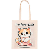 Раскраска на сумке "Мурчащий котик" (шоппер 35х40см, краски 5шт., кисть) RWCB-018 от магазина "Карандаш"