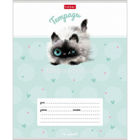 Тетрадь А5 12л клетка "Кошарики" на скобе 5 дизайнов 12Т5В1/074359 от магазина "Карандаш"