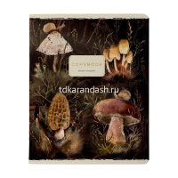 Тетрадь А5 40л клетка "Flora. Forest fairy tale" на скобе матовая ламинация Soft Touch, фольга 7-48- от магазина "Карандаш"