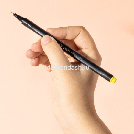 Набор капиллярных ручек 12цв 0,45мм "LINKUS" круглые, блистер с европодвесом EQ900-12 от магазина "Карандаш"