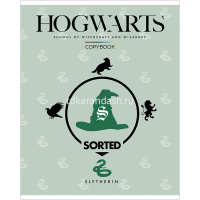 Тетрадь А5 24л клетка "Гарри Поттер" на скобе выборочный лак 24Т5вмВ1/053340 от магазина "Карандаш"