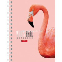 Записная книжка А6 80л "Кто здесь?" клетка, на спирали, двойная твердая обложка, 3 дизайна 80ЗК6В1гр от магазина "Карандаш"