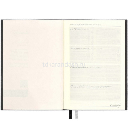 Ежедневник недатированный А5 "Escalada" 320стр., серый металлик, искусственная кожа софт-тач 63994 от магазина "Карандаш"