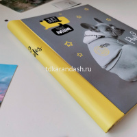 Фотоальбом магнитный 10 листов 23х28см "Fluffy pets. Гррр" 29х25х2,5см FA 10М.005-4 от магазина "Карандаш"