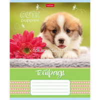 Тетрадь А5 18л клетка "Щенячья радость" на скобе 5 дизайнов 18Т5В1/067613 от магазина "Карандаш"