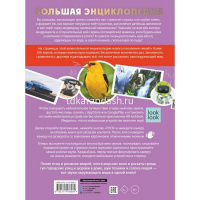 Большая энциклопедия "501 звук и 1001 иллюстрация" 192стр. 0+ 978-5-17-147698-4 от магазина "Карандаш"
