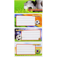 Наклейки для информации 8х3,5см 2л по 6шт, 12шт/уп. 12 видов Y7937-18 от магазина "Карандаш"