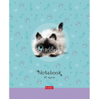 Тетрадь А5 48л клетка "Кошарики" на скобе 5 дизайнов 48Т5В1/075302 от магазина "Карандаш"