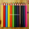 Карандаши 12 цветов "Color Pencils" шестигранные укороченные дерево, картон 9603-12 от магазина "Карандаш"
