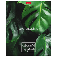 Тетрадь А5 96л клетка "MOREgreen" на скобе 5 дизайнов 96Т5В1/057316 от магазина "Карандаш"