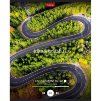 Тетрадь А5 96л клетка "Музыка зовет" на скобе 5 дизайнов 96Т5В1/075202 от магазина "Карандаш"